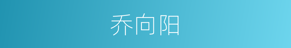 乔向阳的同义词