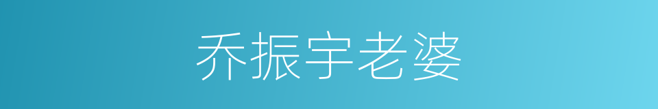 乔振宇老婆的同义词