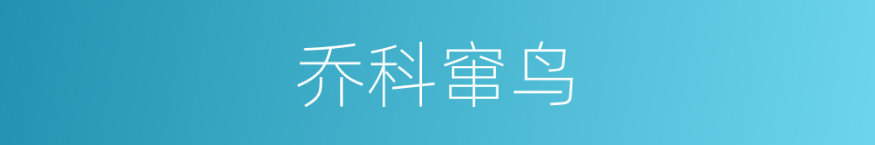 乔科窜鸟的同义词