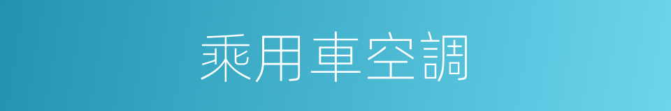 乘用車空調的同義詞