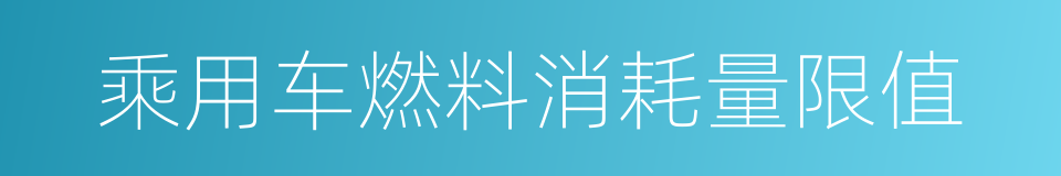 乘用车燃料消耗量限值的同义词
