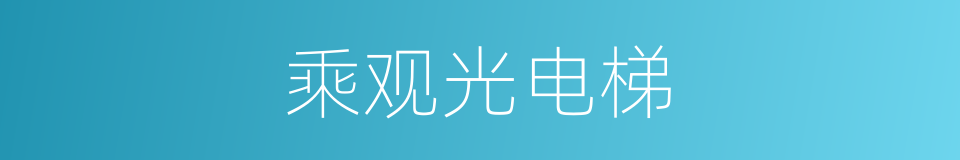 乘观光电梯的同义词