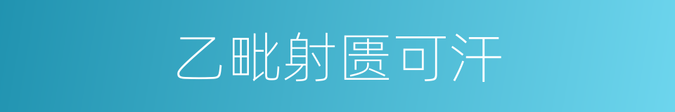 乙毗射匮可汗的同义词