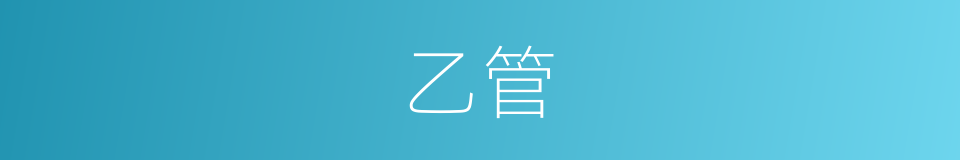乙管的同义词