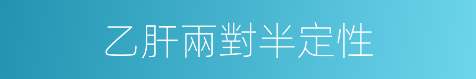 乙肝兩對半定性的同義詞