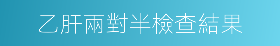 乙肝兩對半檢查結果的同義詞