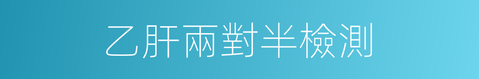 乙肝兩對半檢測的同義詞