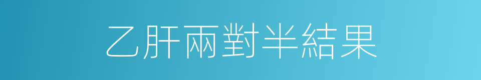 乙肝兩對半結果的同義詞