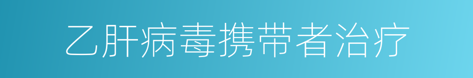 乙肝病毒携带者治疗的同义词