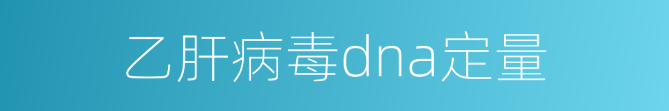 乙肝病毒dna定量的同义词