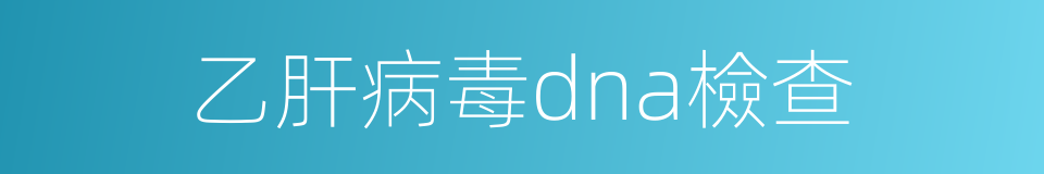乙肝病毒dna檢查的同義詞