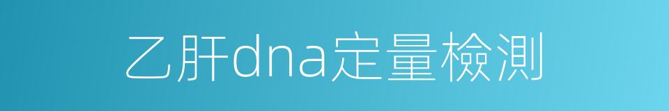 乙肝dna定量檢測的同義詞