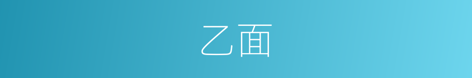 乙面的同义词
