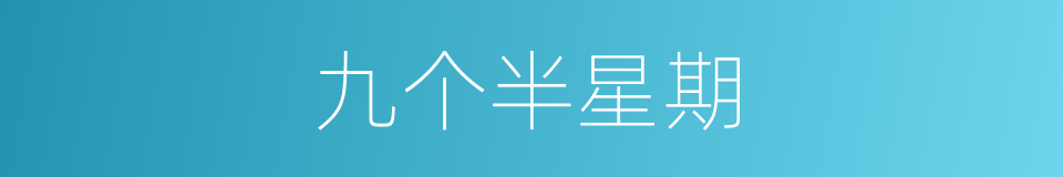 九个半星期的同义词