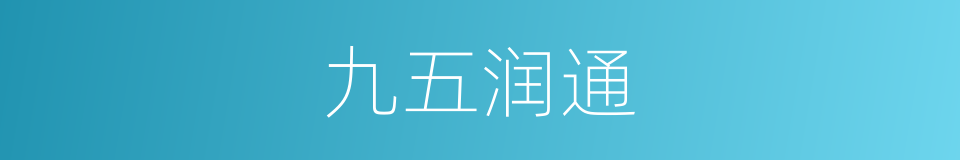九五润通的同义词