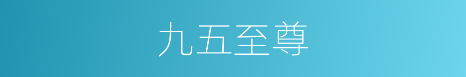 九五至尊的意思
