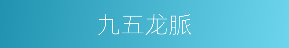 九五龙脈的同義詞