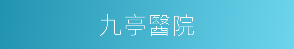 九亭醫院的同義詞