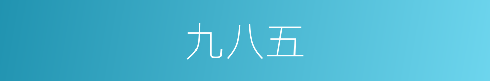 九八五的同义词