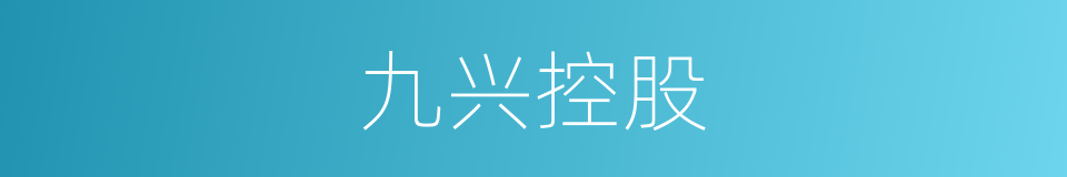 九兴控股的同义词