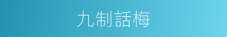 九制話梅的同義詞