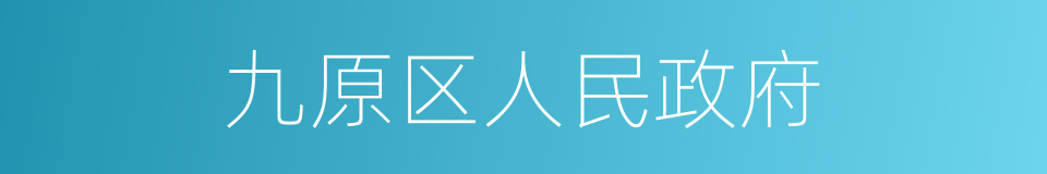 九原区人民政府的同义词