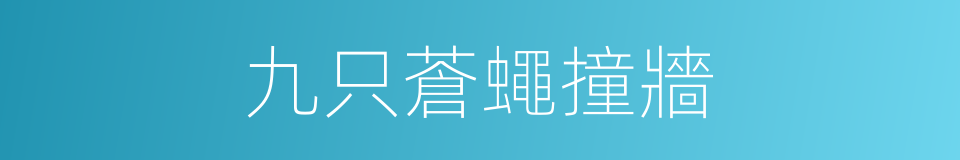 九只蒼蠅撞牆的同義詞