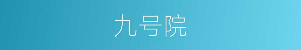 九号院的同义词