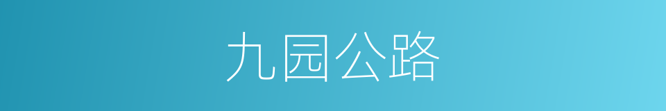 九园公路的同义词