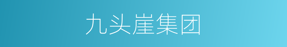 九头崖集团的同义词