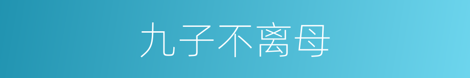 九子不离母的同义词