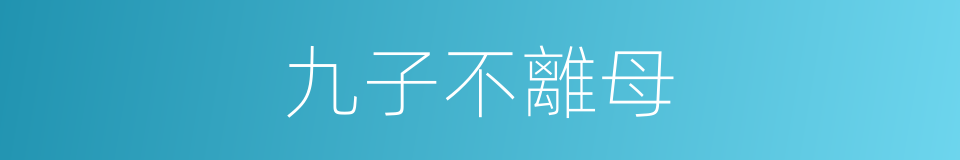 九子不離母的同義詞