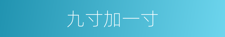 九寸加一寸的同义词