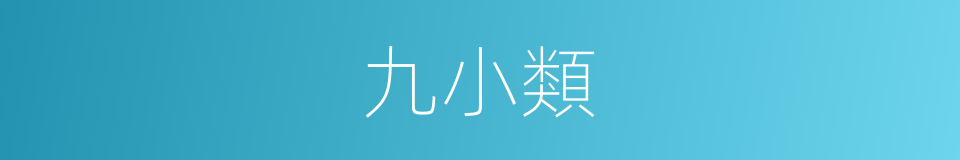 九小類的同義詞