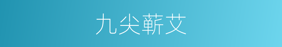 九尖蕲艾的同义词