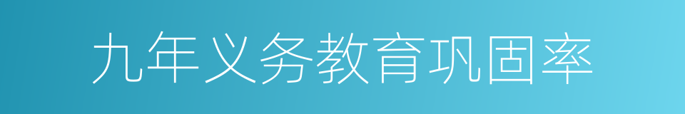 九年义务教育巩固率的同义词