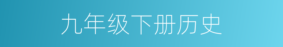 九年级下册历史的同义词