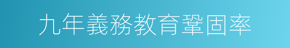 九年義務教育鞏固率的同義詞