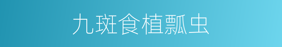 九斑食植瓢虫的同义词