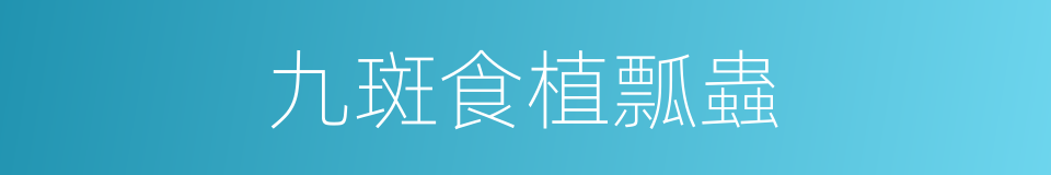 九斑食植瓢蟲的同義詞
