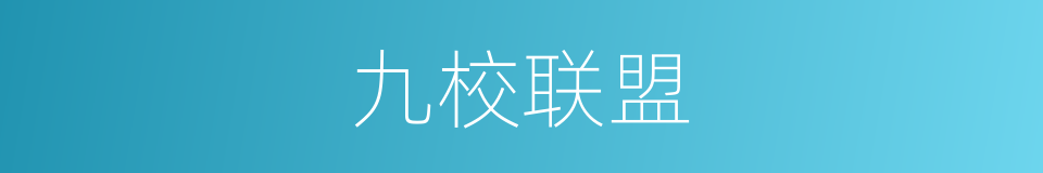 九校联盟的同义词