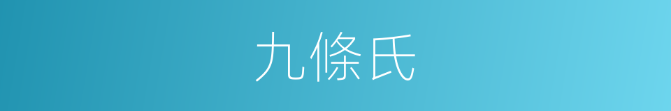 九條氏的同義詞