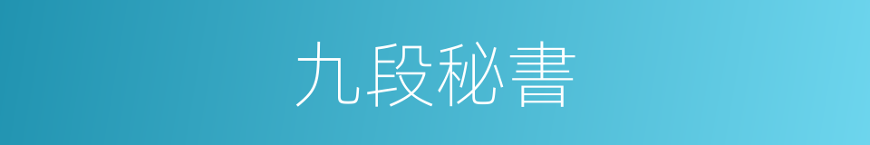 九段秘書的同義詞