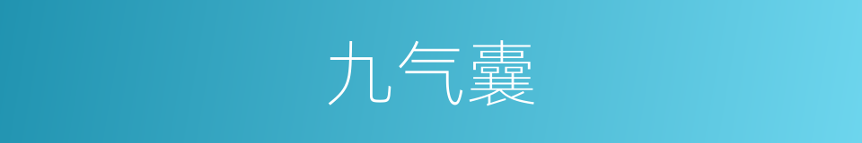 九气囊的同义词