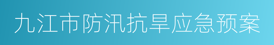 九江市防汛抗旱应急预案的同义词