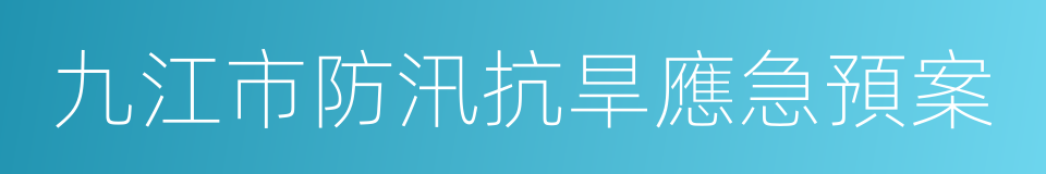 九江市防汛抗旱應急預案的同義詞