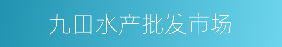 九田水产批发市场的同义词