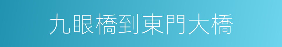 九眼橋到東門大橋的同義詞