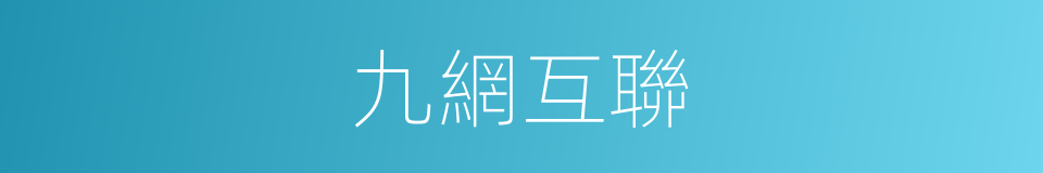 九網互聯的同義詞
