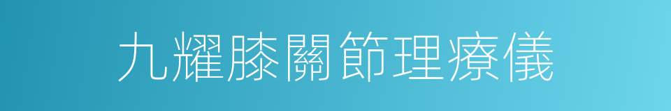 九耀膝關節理療儀的同義詞